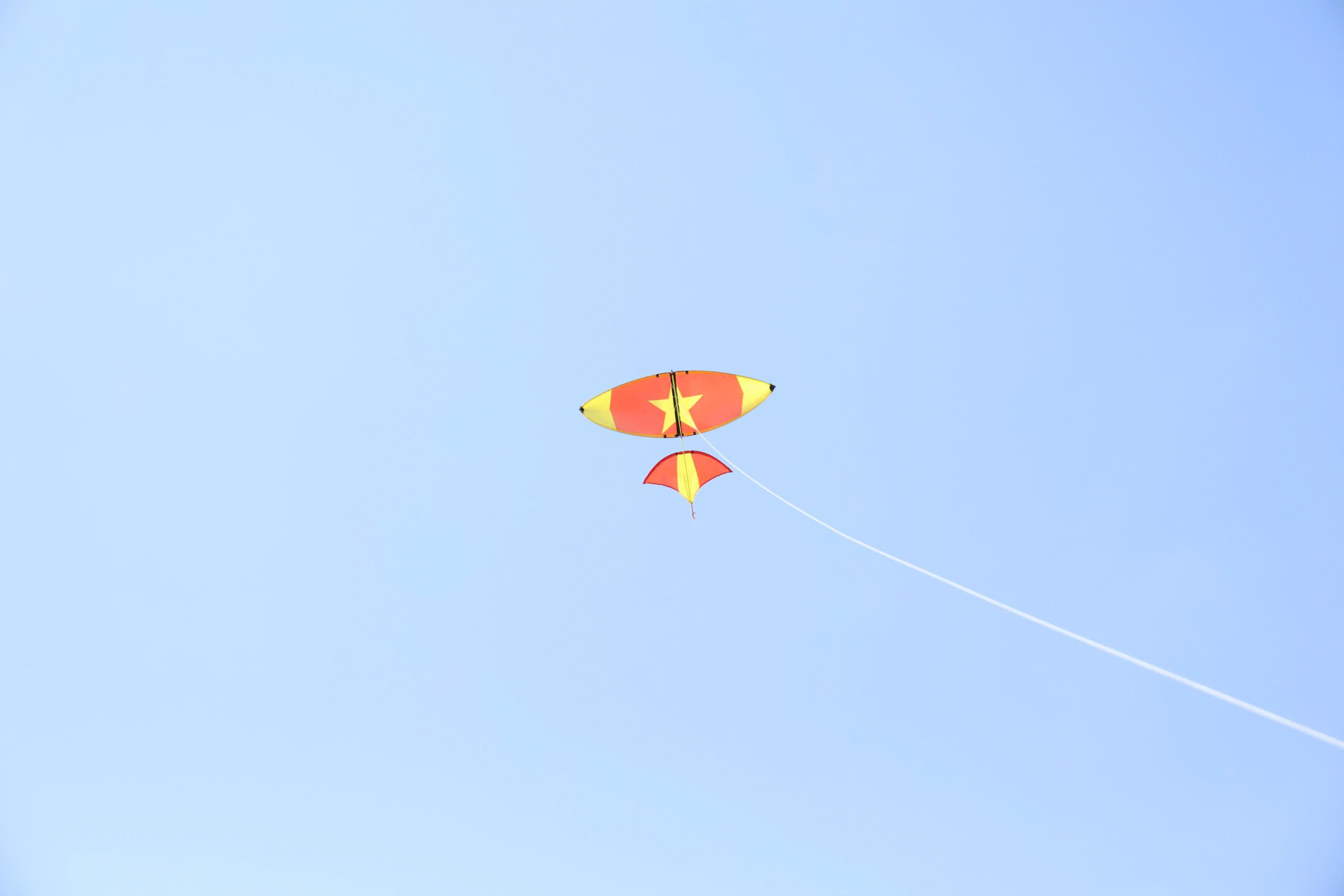 /UploadStore/admin/260219 bdvc don tet/bb7ec7ea35dcbb82e2cd29.jpg